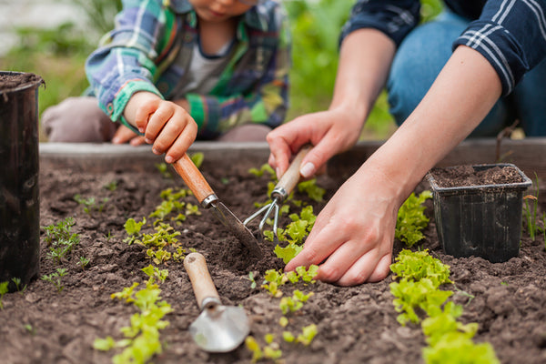 Cultivating Wellness: Gardening as a Therapeutic Journey Through Postpartum