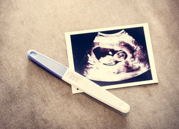 Pregnancy Facts: A Month by Month Overview