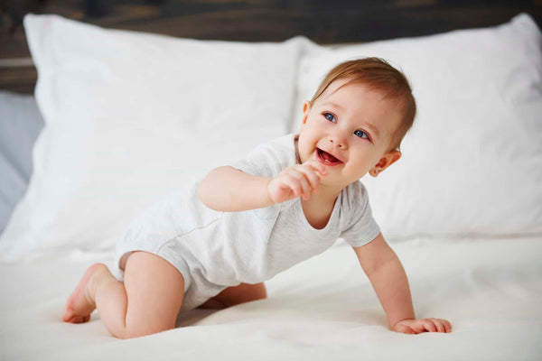 Baby Proofing Made Easy with Dreambaby