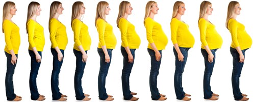How Much Weight Should You Gain During Pregnancy?